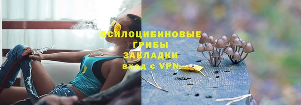 прущий лед Аркадак