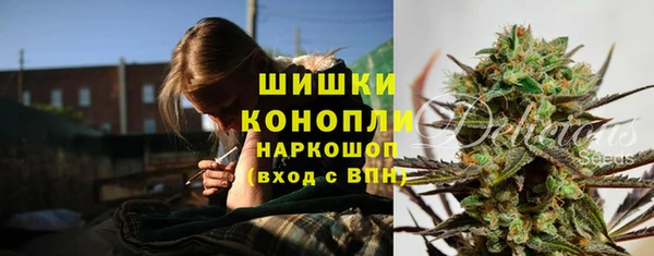 трава Армянск