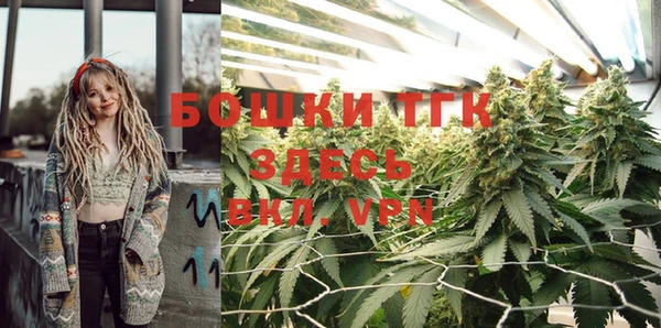 трава Армянск